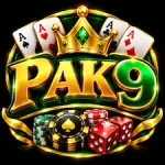 PAK 9 Game