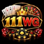111 WG Game